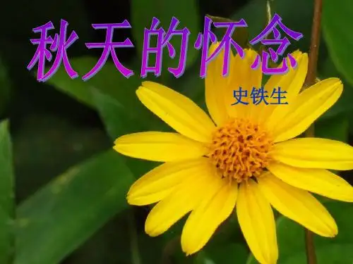 【语文S版】六年级上册语文课件：12 秋天的怀念 (共18张PPT)