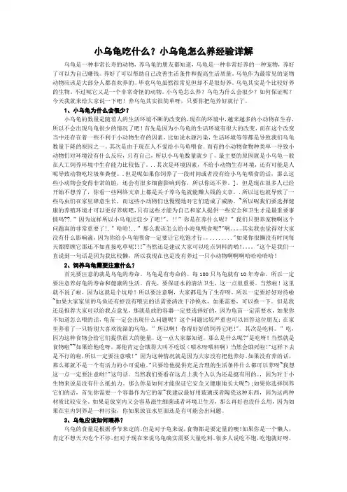 小乌龟吃什么？小乌龟怎么养经验详解