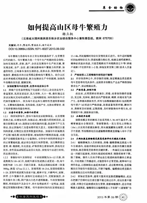 如何提高山区母牛繁殖力