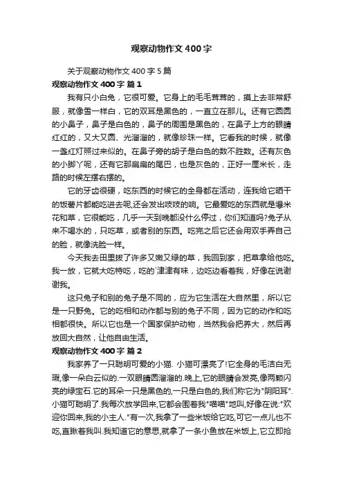 关于观察动物作文400字5篇