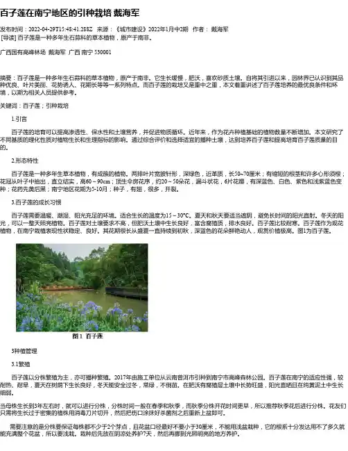 百子莲在南宁地区的引种栽培戴海军