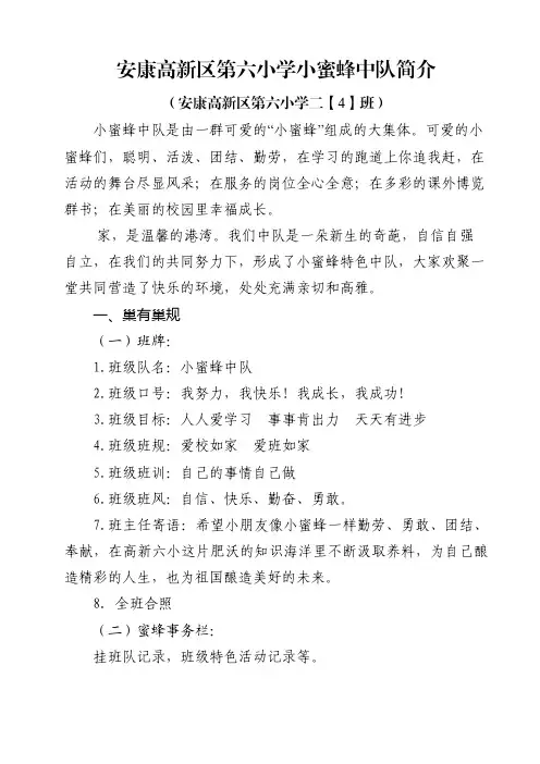 小蜜蜂中队文化建设