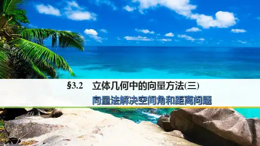 人教A版高中数学选修2-1《3.2立体几何中的向量方法(三)》课件