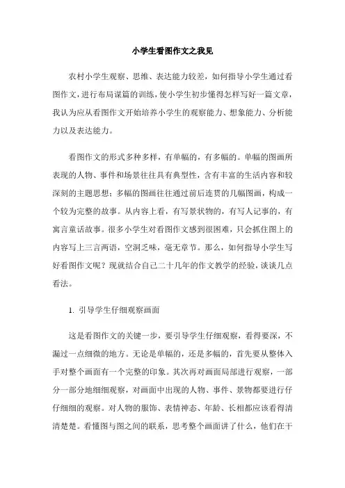 小学生看图作文之我见