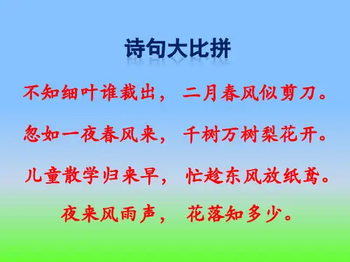 《画风》课件
