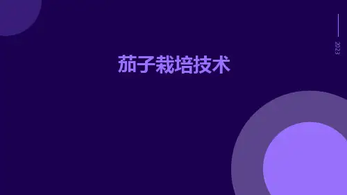 茄子栽培技术