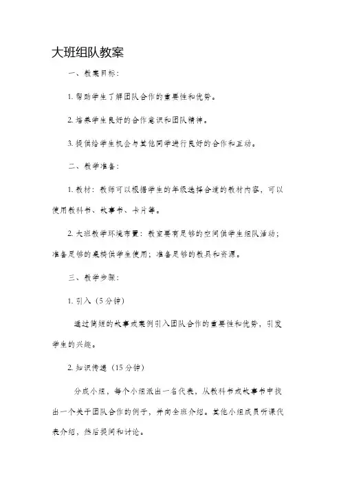 大班组队教案
