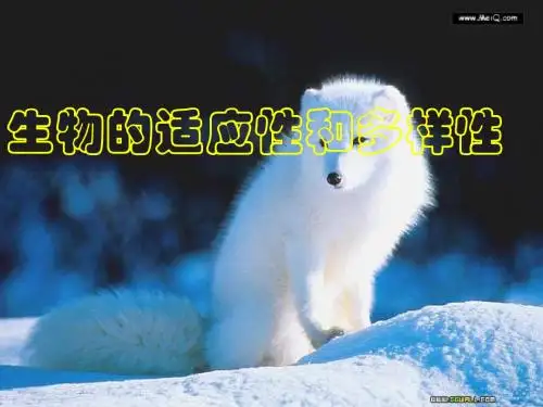 生物的适应性和多样性
