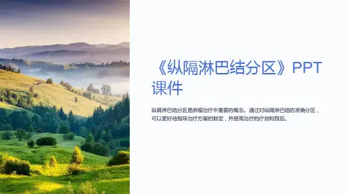 《纵隔淋巴结分区》课件