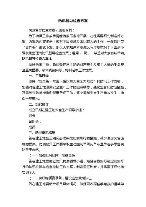 防汛督导检查方案