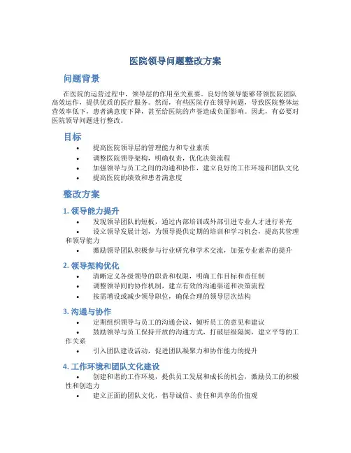 医院领导问题整改方案