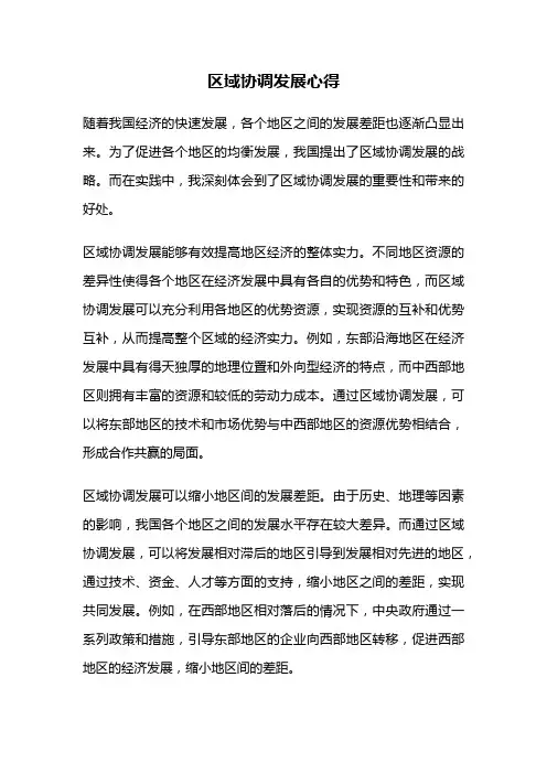 区域协调发展心得