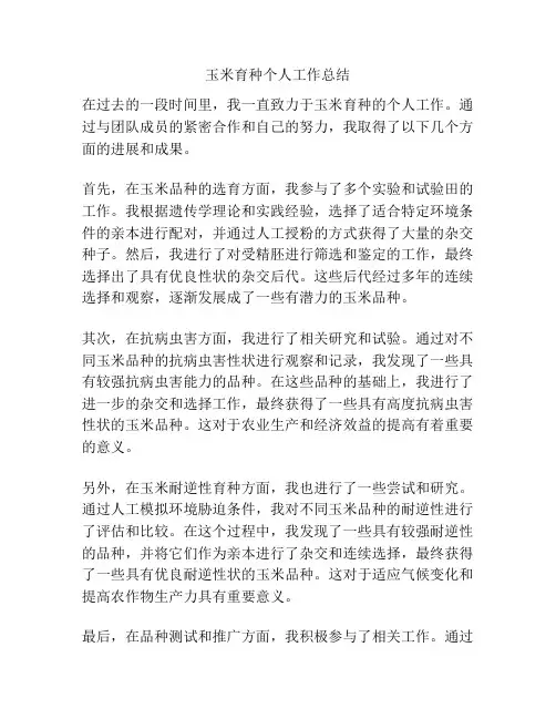 玉米育种个人工作总结