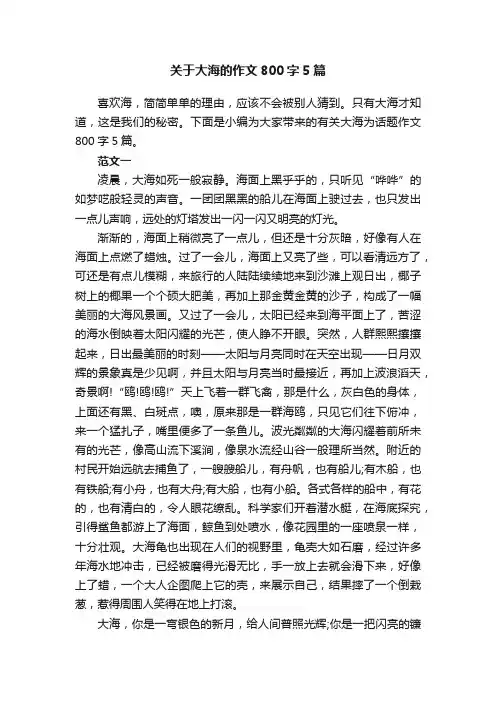 关于大海的作文800字5篇