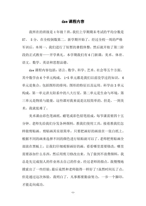 dse课程内容