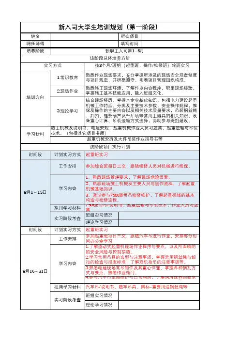 新大学生实习期培养规划表