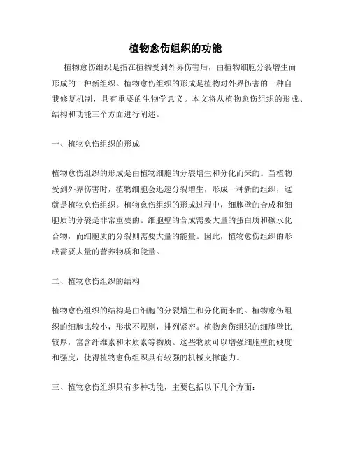 植物愈伤组织的功能