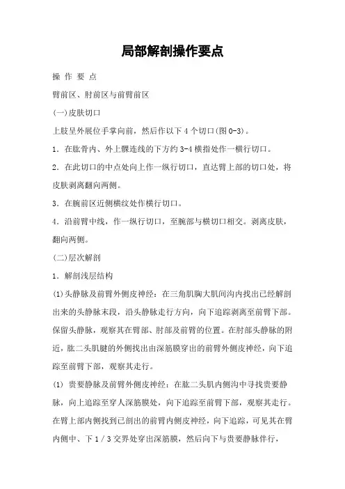 局部解剖操作要点概要