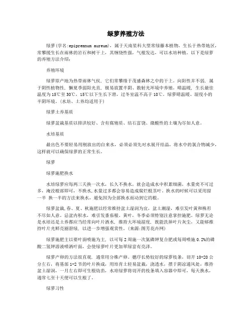 绿萝养殖方法