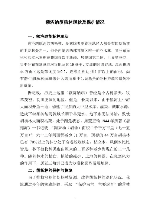 胡杨林基本情况