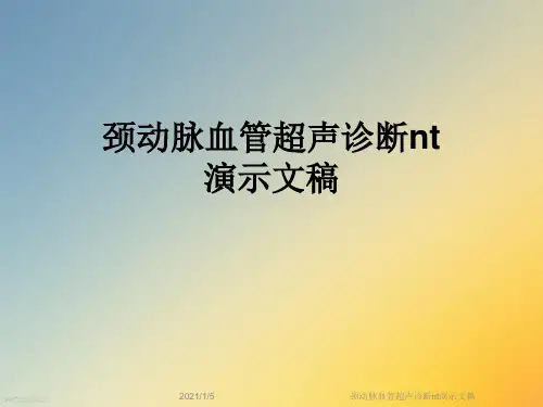 颈动脉血管超声诊断nt演示文稿
