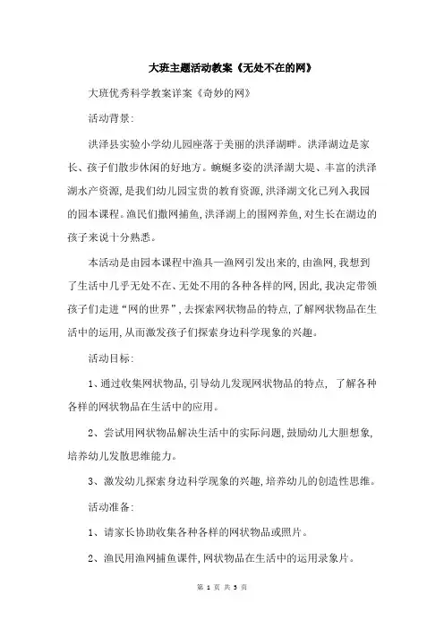 大班主题活动教案《无处不在的网》