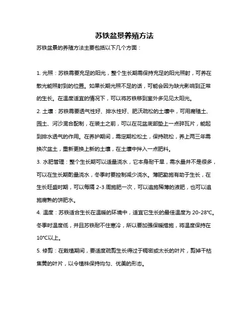 苏铁盆景养殖方法