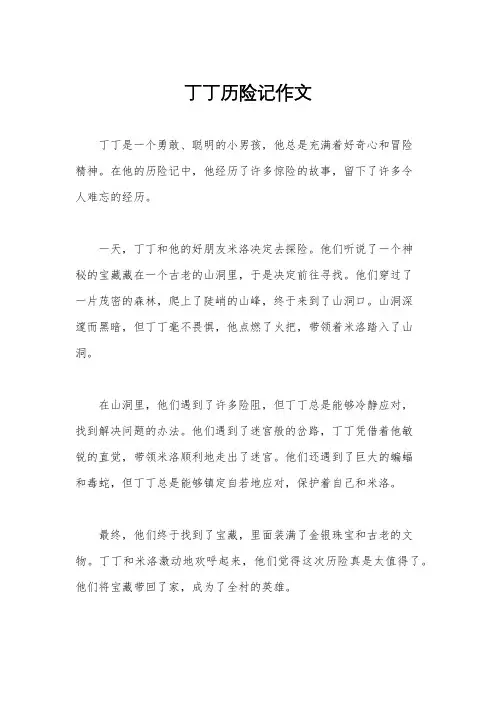 丁丁历险记作文