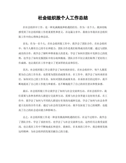 社会组织股个人工作总结