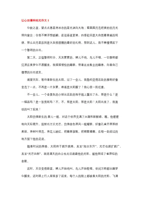 种在心田里的阳光作文600字