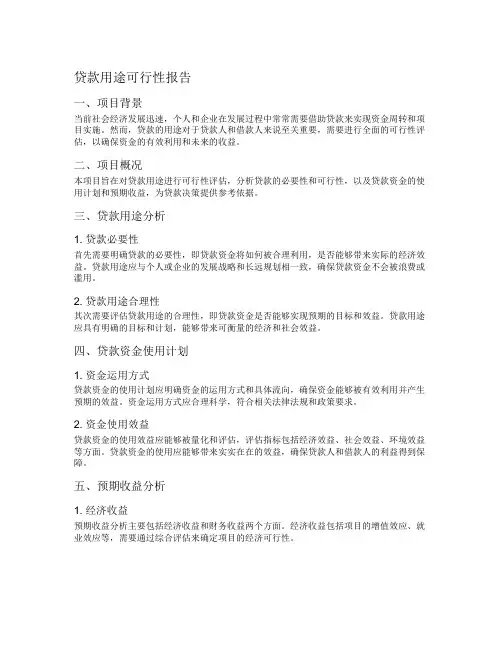 贷款用途可行性报告