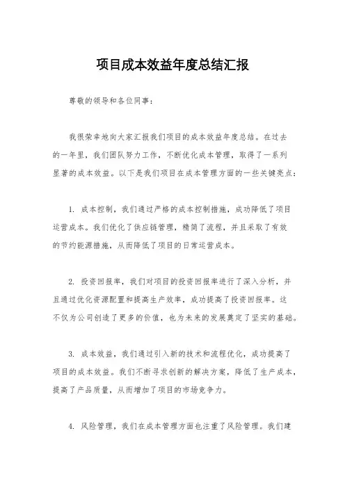 项目成本效益年度总结汇报