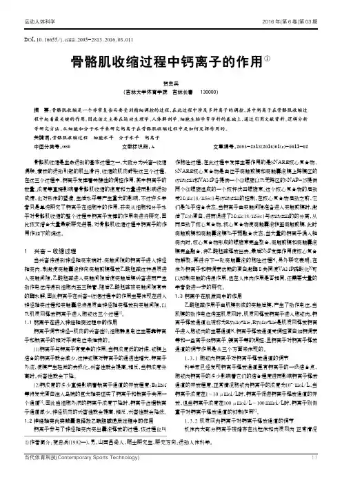 骨骼肌收缩过程中钙离子的作用