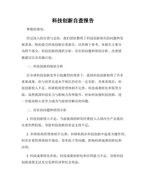 科技创新自查报告