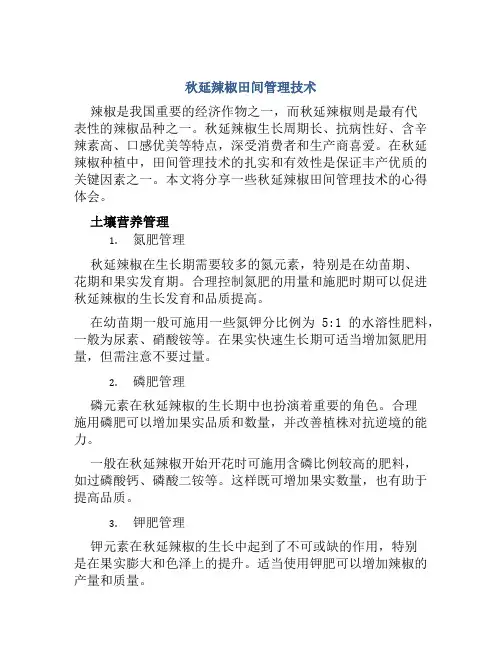 秋延辣椒田间管理技术