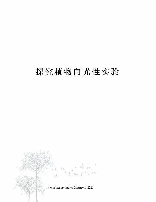 探究植物向光性实验