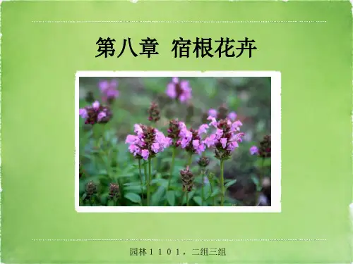 宿根花卉,总论