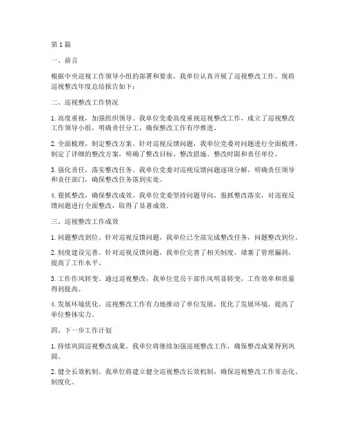 巡视整改年度总结报告(3篇)