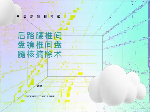 后路腰椎间盘镜椎间盘髓核摘除术