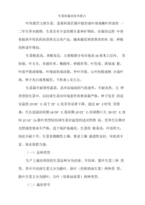 生菜的栽培技术要点