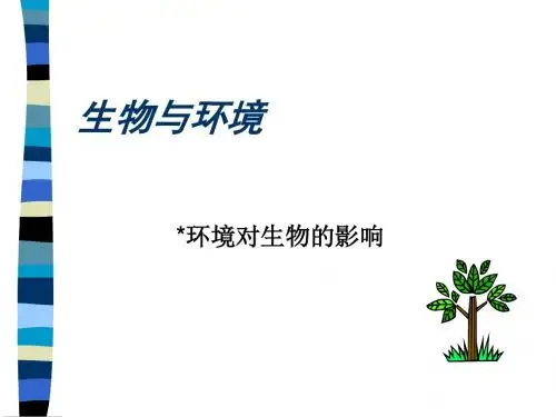 环境对生物的影响PPT课件11 北京版