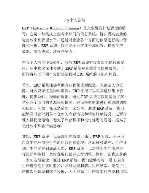 erp个人总结
