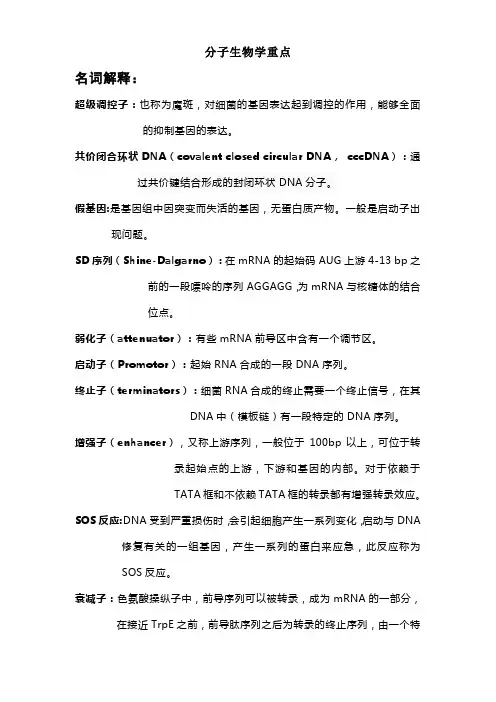 分子生物学复习重点