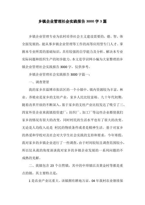 乡镇企业管理社会实践报告3000字3篇