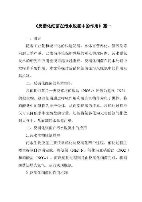 《2024年反硝化细菌在污水脱氮中的作用》范文