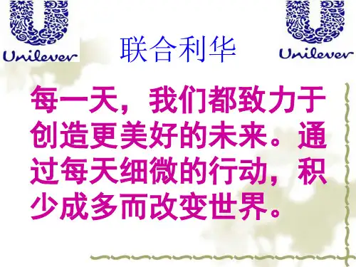 联合利华在中国的市场营销环境分析