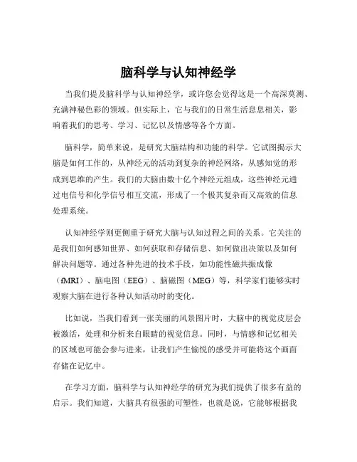 脑科学与认知神经学