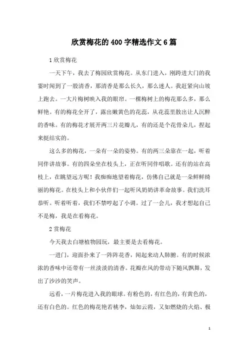 欣赏梅花的400字精选作文6篇