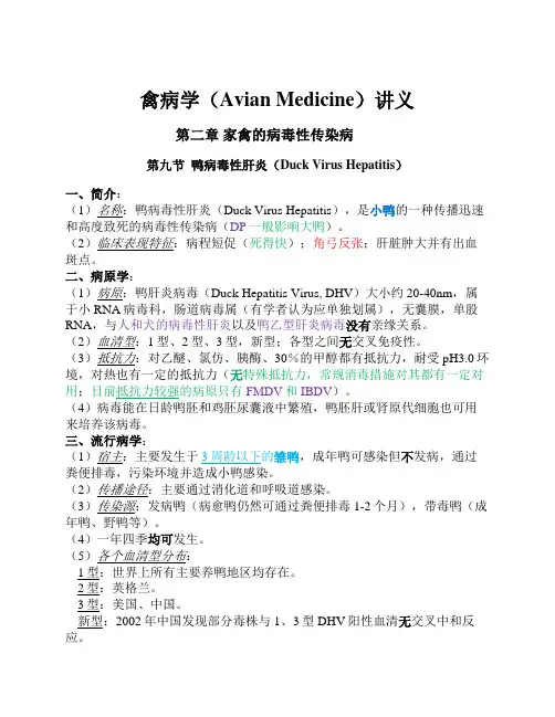 禽病学讲义-第二章 家禽的病毒性传染病(9-鸭病毒性肝炎)