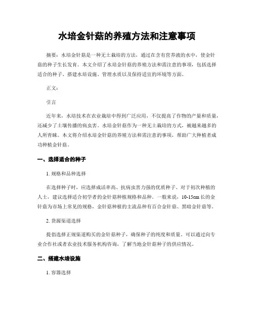 水培金针菇的养殖方法和注意事项